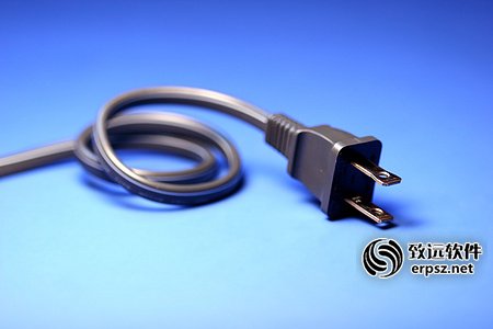 威龙电子原件有限公司ERP